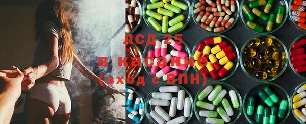 ПСИЛОЦИБИНОВЫЕ ГРИБЫ Балахна