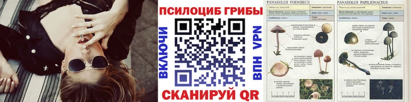 Галлюциногенные грибы мухоморы  Купить  Свирск 